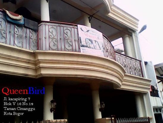 Queen bird agen produk omkicau untuk wilayah Kota Bogor