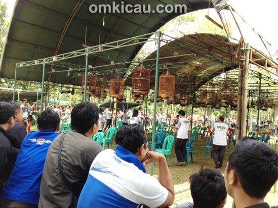 Lomba Burung Gebyar Ramadhan Purwokerto
