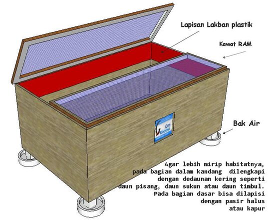 Kandang ternak jangkrik yang terbuat dari papan triplek