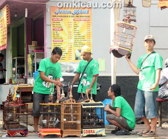 One Stop Pleci Mania