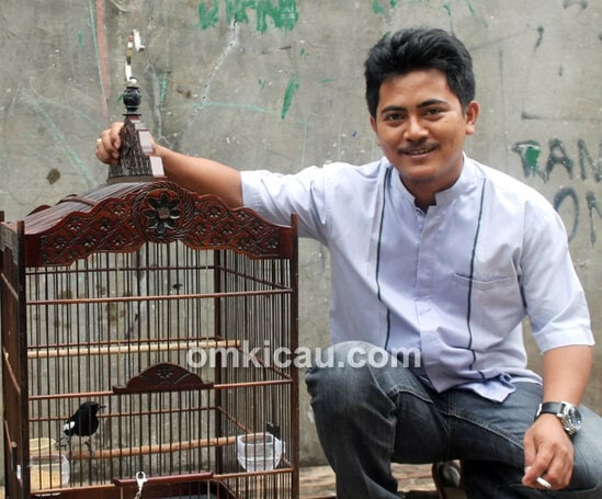 Wahid dan kacer King Safir