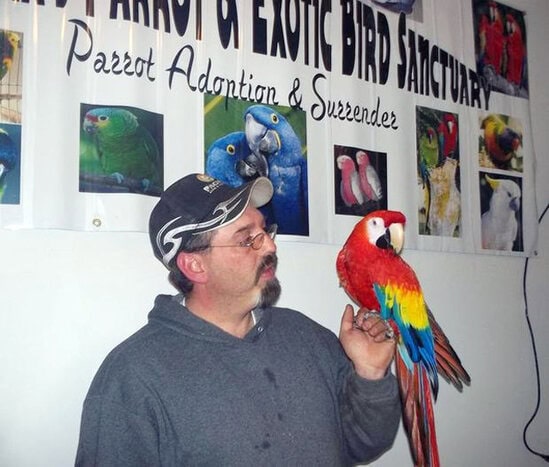Pertemuan mengharukan Taylor dan macaw Love Love, Minggu (21/4).