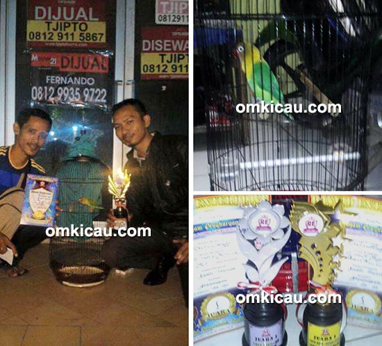 Om Fadli Susilo dan lovebird Siliwangi