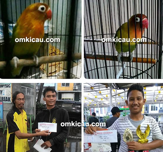 Cempaka SF