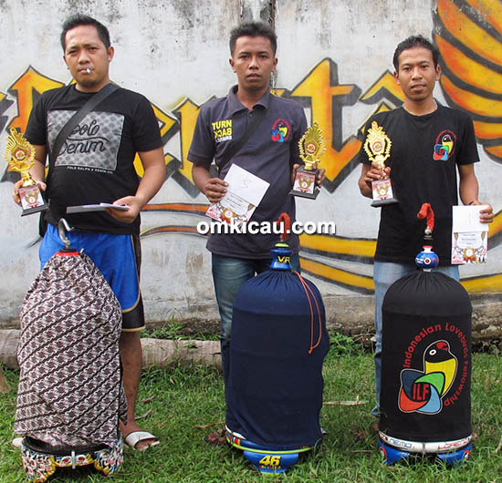 Spesial Effentta-Juara lovebird