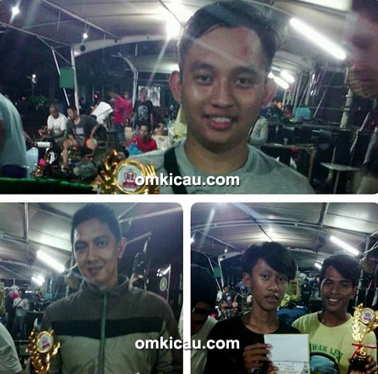 para juara di kelas cucak hijau