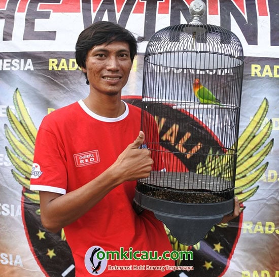 lovebird Rawe Rantas