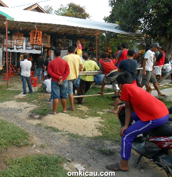 Latihan Sakti Bird Jambi
