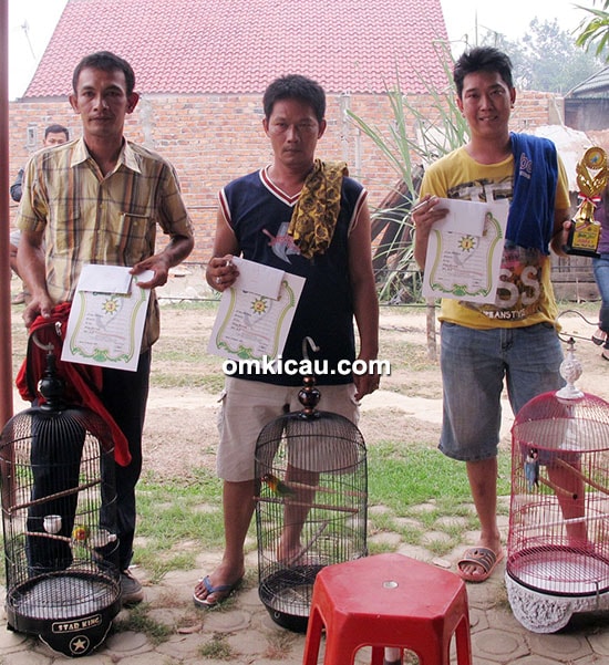 Juara 1, 2, 3 lovebird Kelas Sakti