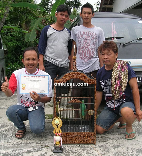 Murai batu Elang Sakti