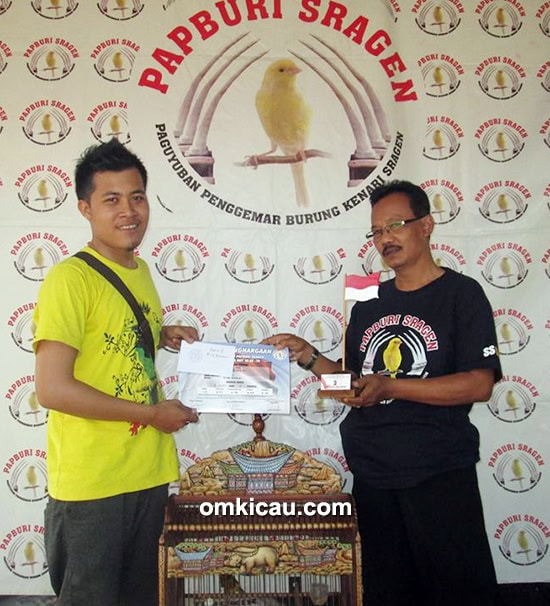 Om Vilman dan kenari RR