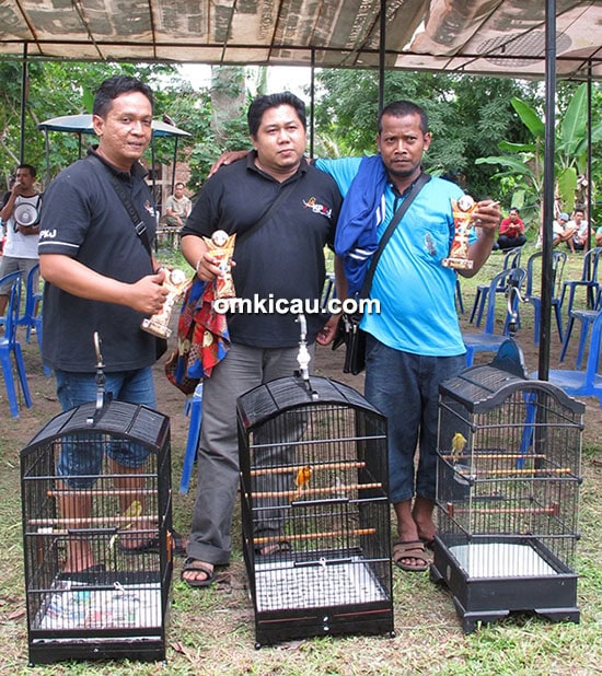 Juara 1, 2 dan 3 kenari