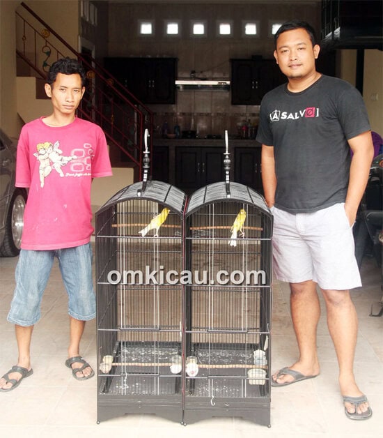 Kandang kenari semi umbaran