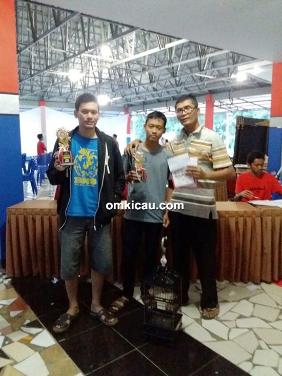 Om Teguh dan pleci Lugas