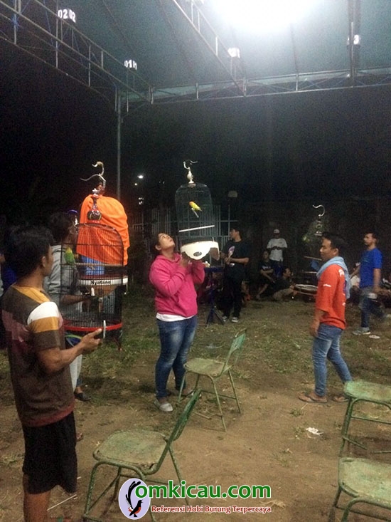Duta Andromeda