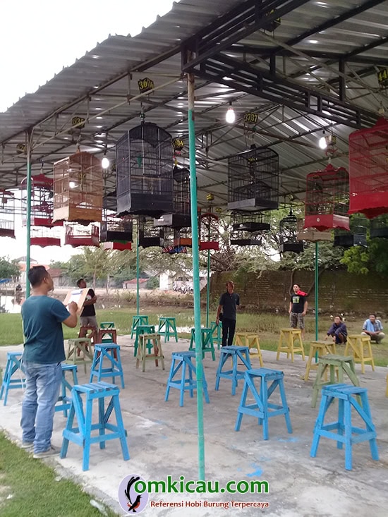 lomba burung di Tuban