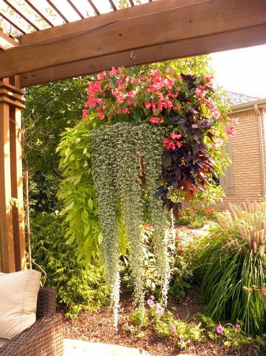 SUN SHADE FOR PATIO WITH HANGING PLANTS