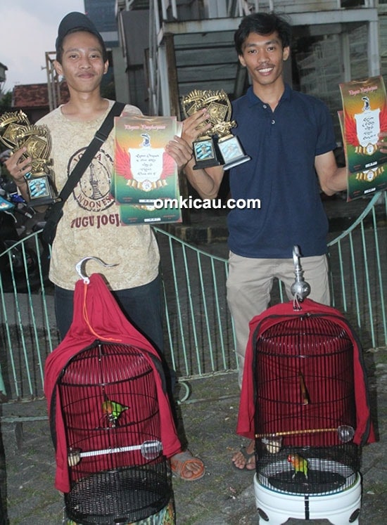 lovebird Arjuna lovebird Arjuna
