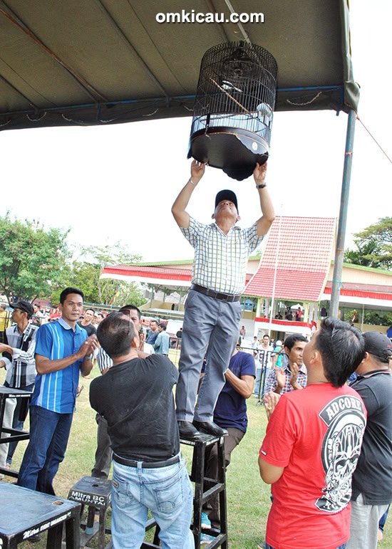 lomba burung Bupati HSU Cup
