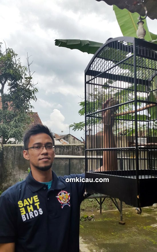 Om Wempi dan cucak jenggot Markonah