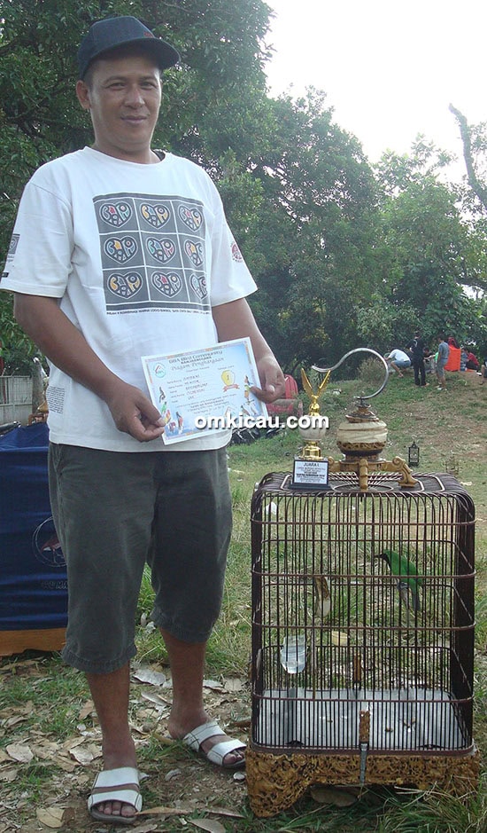 Cucak hijau Jupiter MX