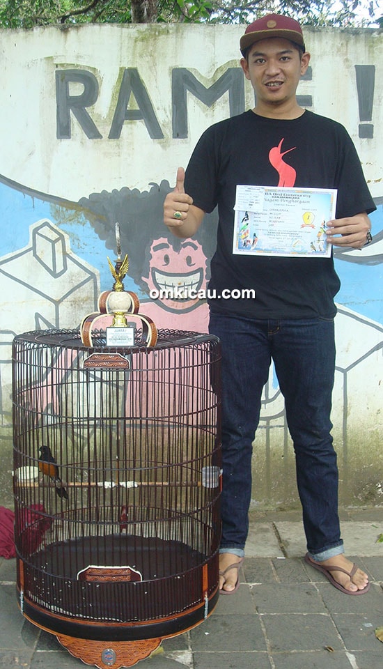 Om Gigih dan murai batu Cheerleader