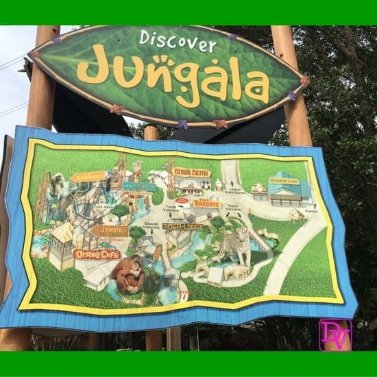 all day dining deal, breakfast, zagora cafe, eggs, toast, potatoes, coffee, beverages, jello, fast food, patio dining, outdoor, under cover, Morocco, busch gardens, tampa, orlando, central florida, theme park, family park, family adventure, family travel, travel blog. travel blogger, fun, rides, shows, animals, entertainment, tickets, food, coaster, shopping, walkable, travel, vacation, destination, adventure, fam tour, fam travel, ice cream, popcorn, alcohol, beverages, bathrooms, large, trains,