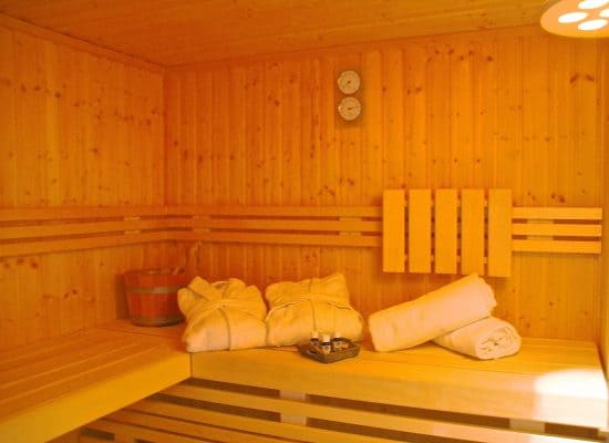 Fleesensee Ferienhaus Sauna
