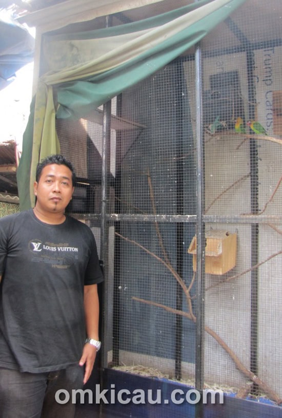 Penangkar lovebird - JP BF Depok