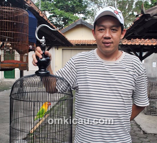Dwi Susanto dan lovebird Nike Sha.