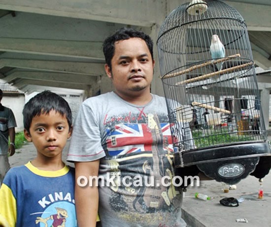 Lovebird Blue Reg