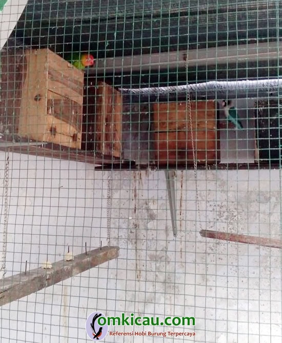 AB Bird Farm Makassar AB Bird Farm Makassar