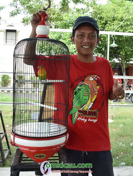 Lovebird Tumbar