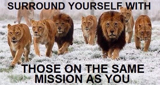 Patti’s Picture A Pack of lions as inspiration for Patti Walter