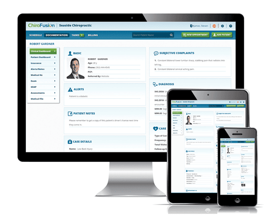 Chiropractic Software User Interface