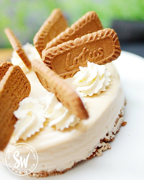 biscoff cheesecake topped with swirls of cream and biscoff biscuits for each slice.