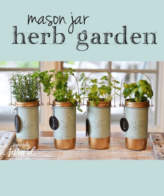 Mason Jar Herb Garden Sincerely, Sara D. Home Decor & DIY Projects