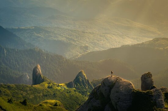 raise your vibration with nature person walking alone in nature