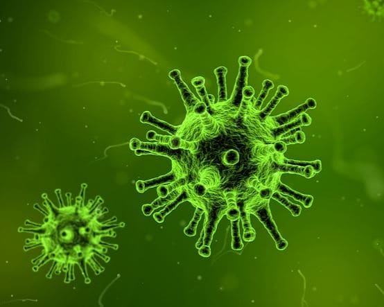Viruses to Treat Cancer
