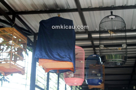 Arco BF Serang