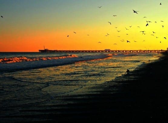 Myrtle beache South Carolina. Where to find shark teeth Myrtle beach sunset South Carolina