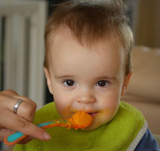 Baby Food