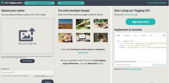 The auto-tagging demo let's you try Imagga solution