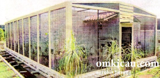 Kandang penangkaran cucakrowo terbuka ala Sinar Mulia BF Bogor Kandang penangkaran cucakrowo terbuka ala Sinar Mulia BF Bogor
