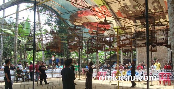 SUASANA LOMBA - Nyaman dan Tertib SUASANA LOMBA - Nyaman dan Tertib