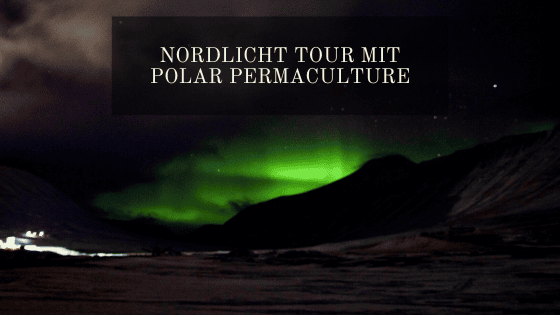 Nordlicht Tour mit Polar Permaculture Nordlicht Tour mit Polar Permaculture