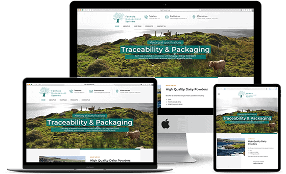 Webdesign - FM Systems