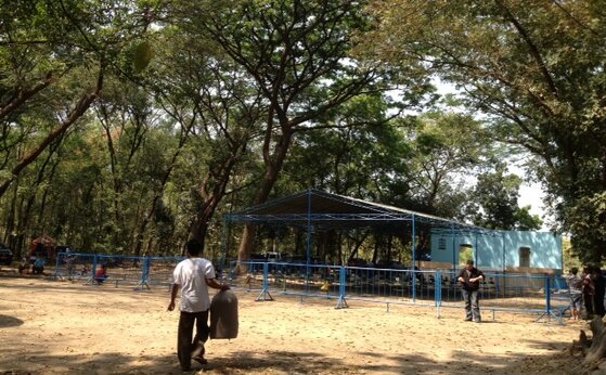 Kerimbunan pohon menaungi arena lomba Danlanud Iswahyudi Cup Kerimbunan pohon menaungi arena lomba Danlanud Iswahyudi Cup