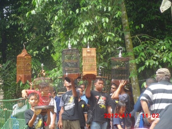 Para Master PCMI siap menggantang burung di Launching Galang Pratama BC Para Master PCMI siap menggantang burung di Launching Galang Pratama BC