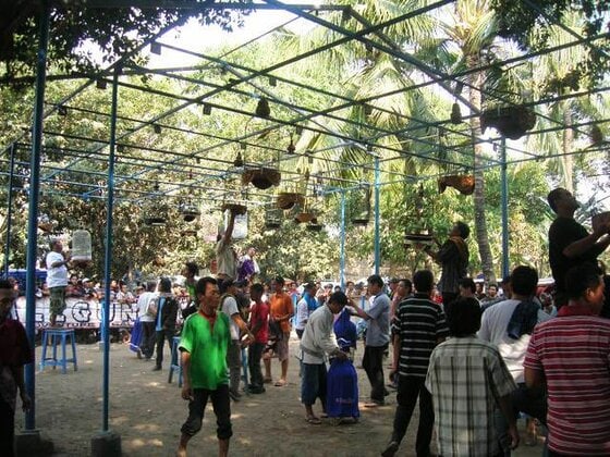 SUASANA LOMBA KALIGUNG BC TEGAL SUASANA LOMBA KALIGUNG BC TEGAL